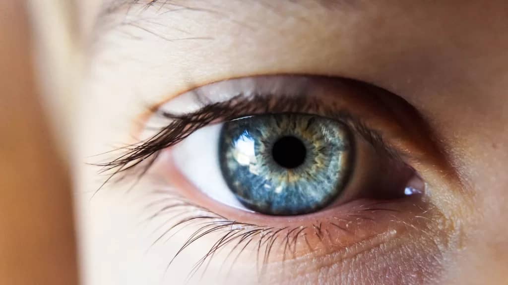 mejorar la salud ocular